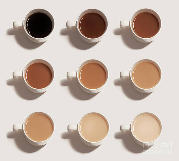 Grid Pattern Poster featuring the photograph Different Choices Of Tea And Coffee by Tara Moore