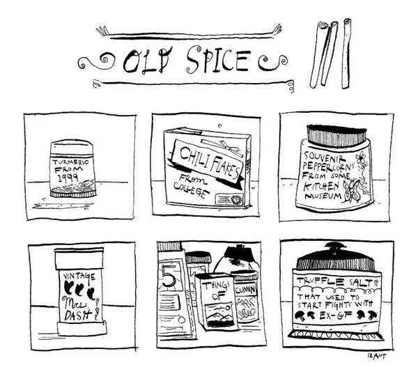 Old Spice Spices Poster featuring the drawing Old Spice by Sara Lautman