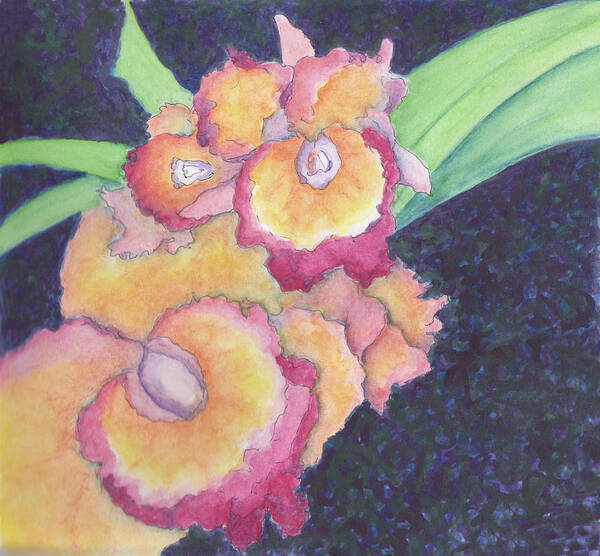 Orchids Poster featuring the painting Cattleya Orchids by Anne Katzeff