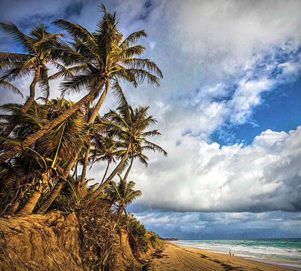 Clouds Poster featuring the photograph Coconut Palm Trees at the Beach Painting by Debra and Dave Vanderlaan