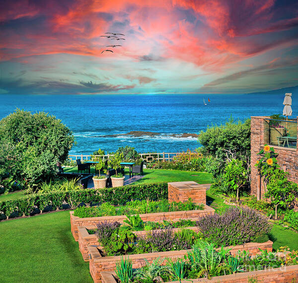 Garden By The Sea Poster featuring the photograph Garden By The Sea by David Zanzinger