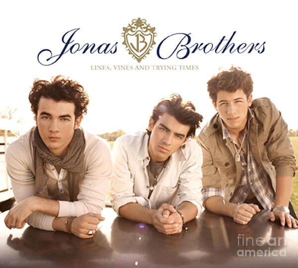 3.5 by 6.5 Jonas Brothers  album prints
