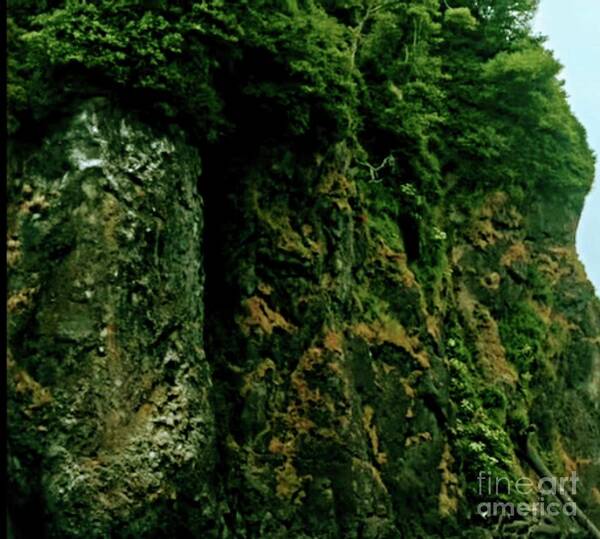 Flower Poster featuring the photograph Mountain by Yvonne Padmos