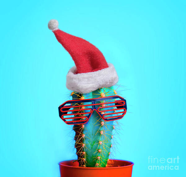 Cactus Poster featuring the photograph Santa cactus. Funky pop art minimal christmas in summer concept. by Jelena Jovanovic