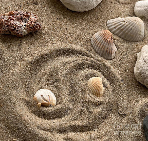 Yin Yang Poster featuring the photograph Yin Yang Sand by Maryland Outdoor Life