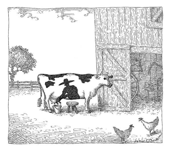 Cows Poster featuring the drawing A Cow Has A Spot That Looks Like A Farmer by John O'Brien