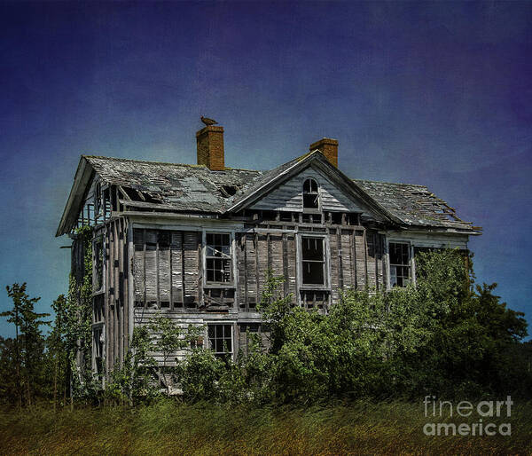 Abandoned Poster featuring the photograph Abandoned Dream by Terry Rowe