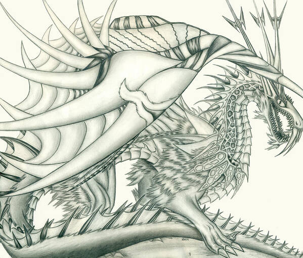 Pencil Work Poster featuring the drawing Anare'il the Chaos Dragon by Shawn Dall