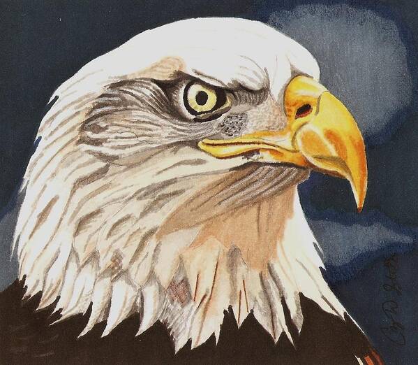 Bald Eagle Poster featuring the drawing Bald Eagle by Cory Still