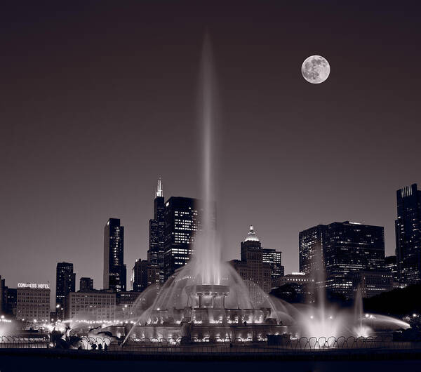 #faatoppicks Poster featuring the photograph Buckingham Fountain Nightlight Chicago BW by Steve Gadomski