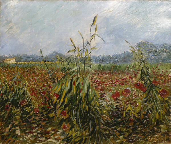 Post-impressionist Poster featuring the painting Corn Fields And Poppies, 1888 by Vincent van Gogh