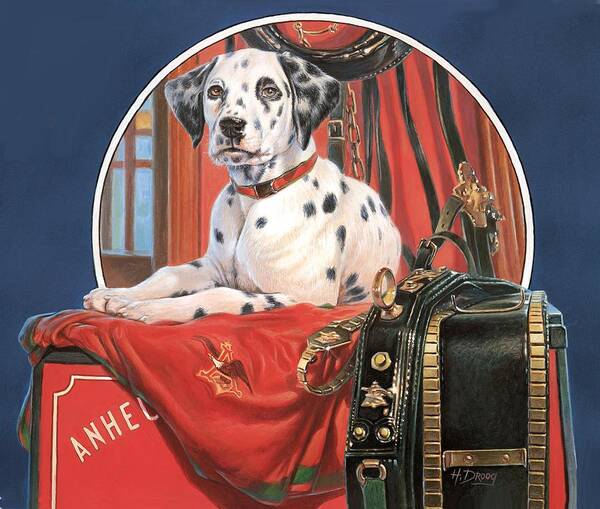 Portrait Of Anheuser Busch Dalmatian Used For The Beer Stein Poster featuring the painting Dalmation AB by Hans Droog