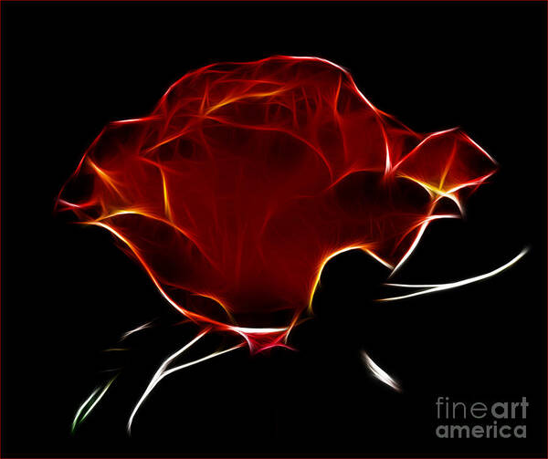 Rose Poster featuring the photograph Dark Rose by Vivian Christopher