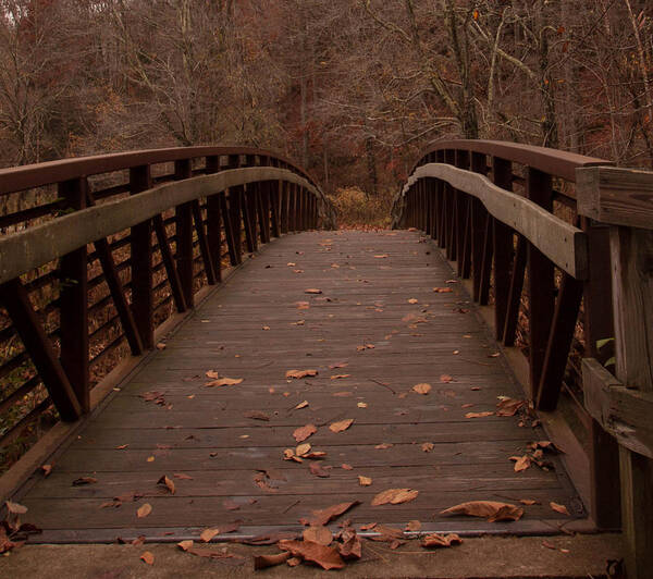 Footbridge Poster featuring the photograph Footbridge at Conkle's Hollow by Haren Images- Kriss Haren