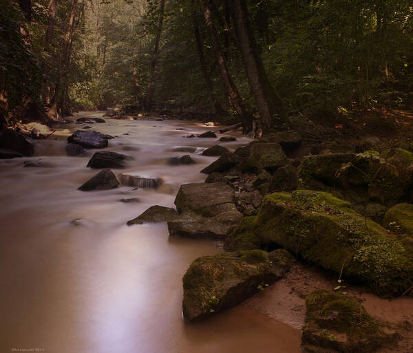 Forest Poster featuring the photograph Forest Creek by Miguel Winterpacht