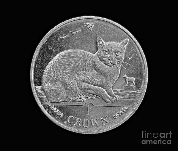 Isle Poster featuring the photograph Isle of Man Manx Cat Crown Coin by Kerry Gergen