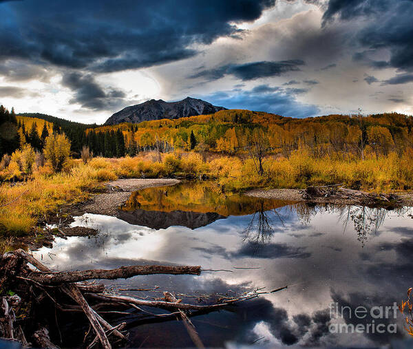 Nature Poster featuring the photograph Jack's Pond by Steven Reed