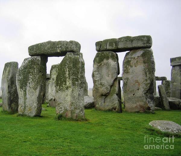 Stonehenge Poster featuring the photograph Life On The Rocks by Denise Railey
