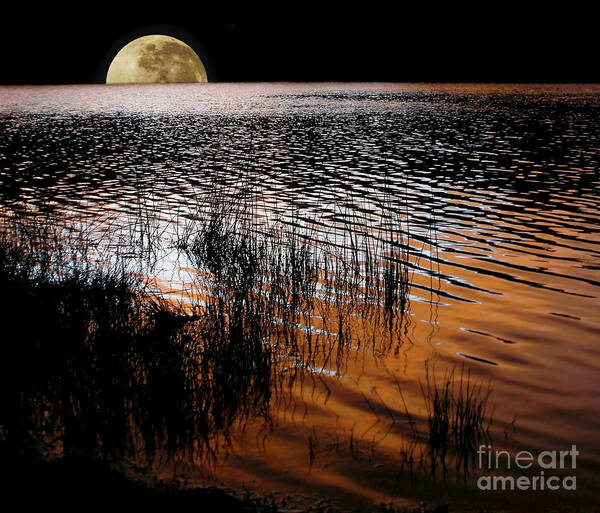 Photography Poster featuring the photograph Moon catching a glimpse of Sunset by Kaye Menner