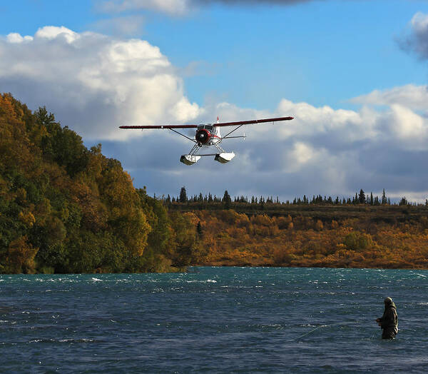 Sam Amato Photography Poster featuring the photograph Naknek River and Beaver Airplane Alaska by Sam Amato