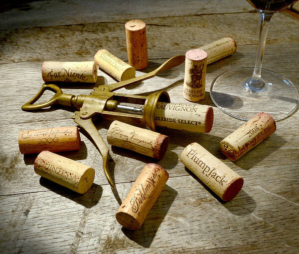 Wine Corks Poster featuring the photograph Old Friends by Jon Neidert