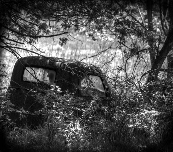 Truck Poster featuring the photograph Old Times Good Times by Thomas Young