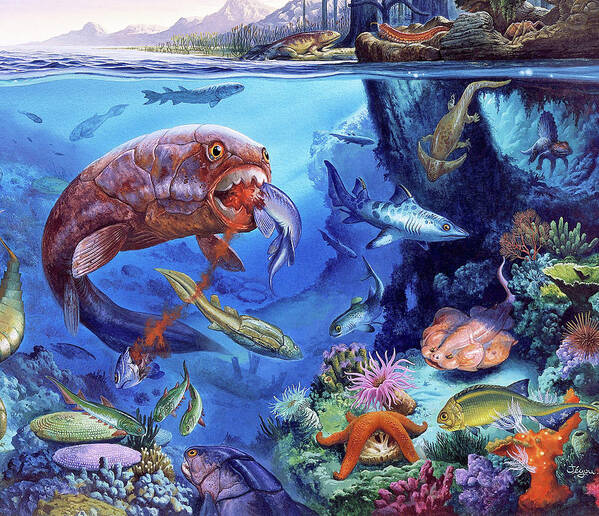 Palaeozoic Marine Animals Poster by Christian Jegou Publiphoto Diffusion/  Science Photo Library - Fine Art America
