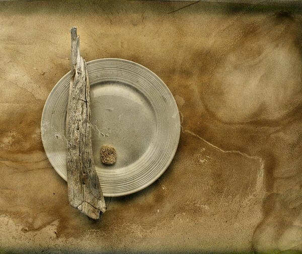 Beige Poster featuring the photograph Sea Plate - sp9b5b by Variance Collections