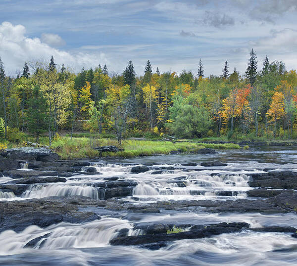 533812 Poster featuring the photograph St Louis River Jay Cooke State Park by Tim Fitzharris