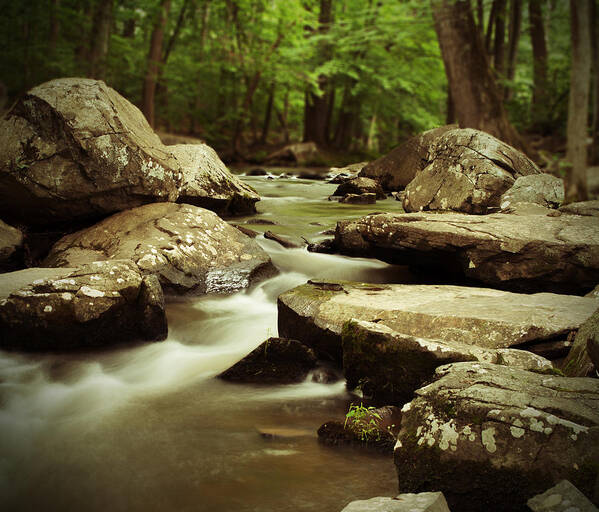 Stream Poster featuring the photograph St. Peters Stream by Michael Porchik