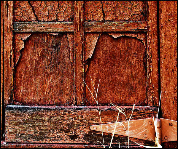 Old Building Poster featuring the photograph Weathered by Susan Kinney