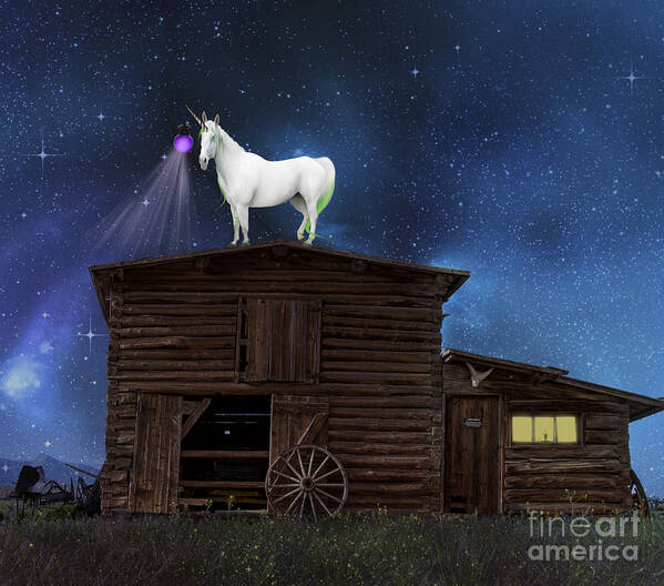 Abandoned Poster featuring the photograph Wild Wild West by Juli Scalzi