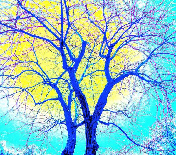 Marriage Poster featuring the photograph Winter Marriage of Two Trees by Ann Johndro-Collins