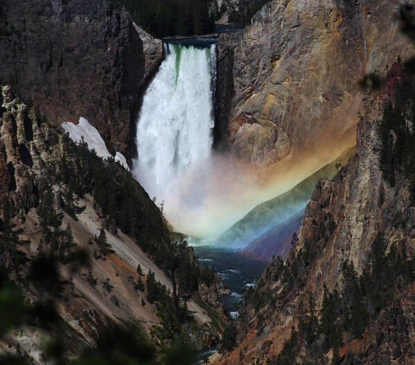 Yellowstone Poster featuring the photograph Yellowstone Lower Falls Rainbow by Jean Clark