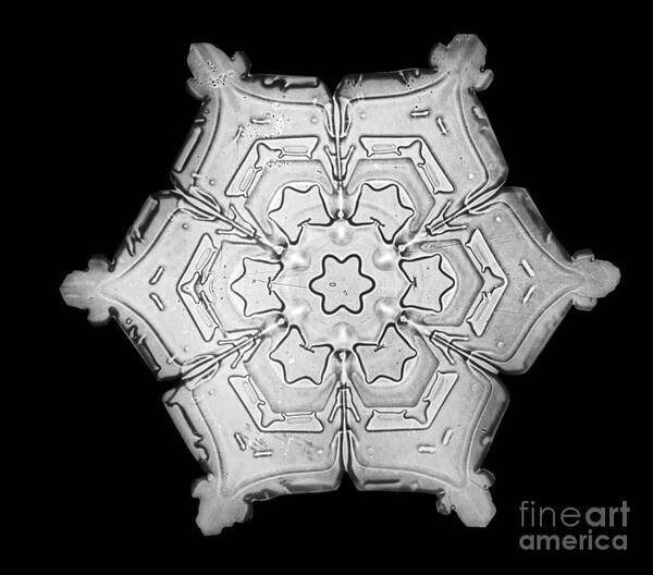 Snowflake Poster featuring the photograph Snowflake #8 by Science Source