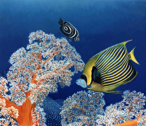 Fish Poster featuring the painting Emperor Fish by Ben Saturen