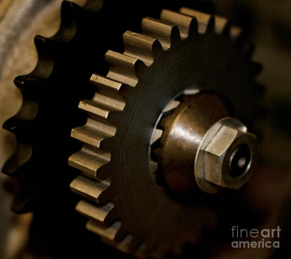 Gears Poster featuring the photograph Gears by Wilma Birdwell