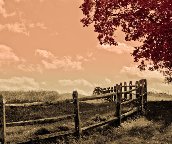 Fence Poster featuring the photograph Kansas by Trish Tritz