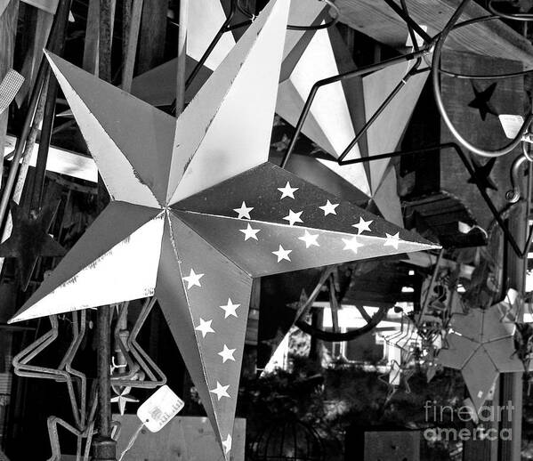 Star Poster featuring the photograph Patriotic Star by Louise Peardon