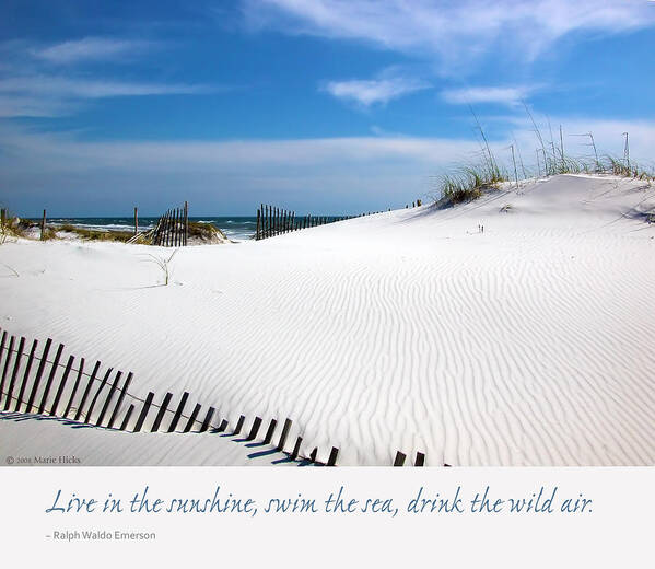 Pensacola Poster featuring the photograph Sand Dunes Dream 3 by Marie Hicks