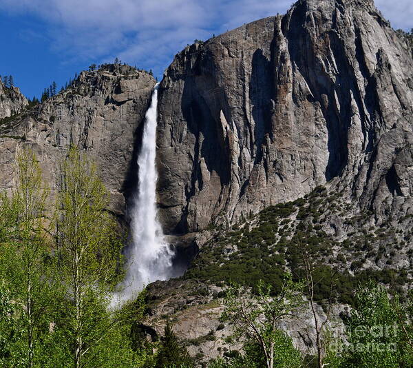 Yosemite Poster featuring the photograph Yosemite Falls by Johanne Peale