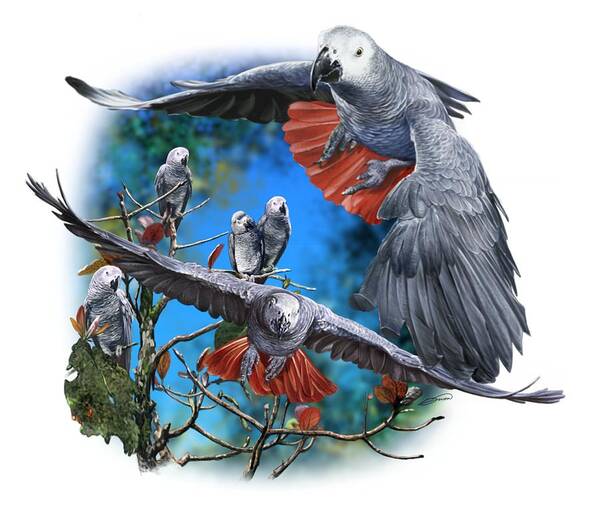 African Poster featuring the digital art African Grey Parrots #1 by Owen Bell