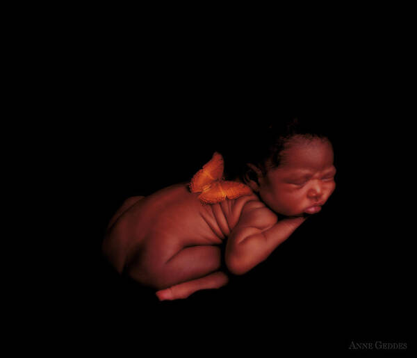 Baby Poster featuring the photograph Kwasi by Anne Geddes
