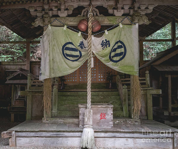 Shrine Poster featuring the photograph Forrest Shrine, Japan by Perry Rodriguez