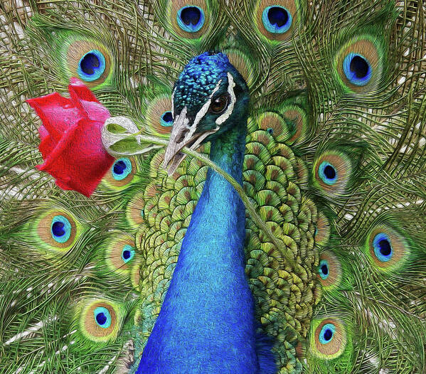 Peafowl Poster featuring the photograph Amore by Art Cole