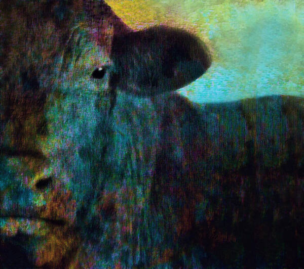 Cow Poster featuring the photograph Black Cow Two by Ann Powell