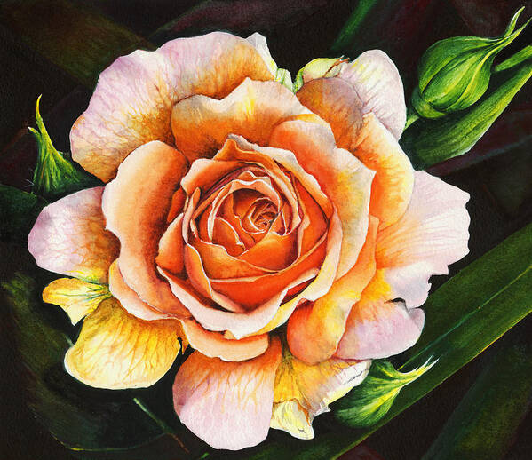 Rose Poster featuring the painting Blooming Marvellous by Peter Williams