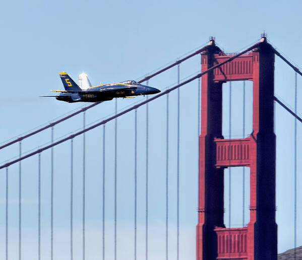Blue Angels Poster featuring the photograph Blue Angel Golden Gate Fly By by Her Arts Desire