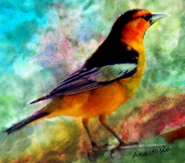 Bird Poster featuring the digital art Bullock's Oriole Mountain Birds by Anastasia Savage Ealy