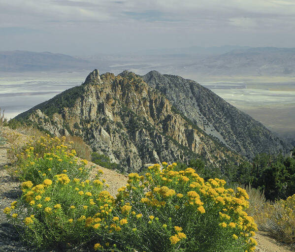 D2m6463 Poster featuring the photograph D2M6463 Timosea Peak by Ed Cooper Photography